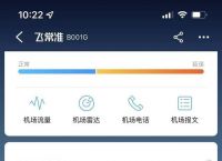 [飞机app怎么改中文]飞机app怎么设置中文