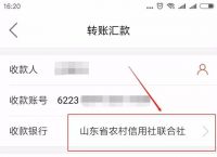 whatsapp可以转账吗?-whatsapp可以转发语音吗