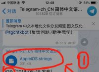 苹果telegreat中文版下载教程[telegreat苹果手机版下载安卓官网]