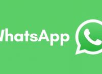 whatsapp国内怎么用手机号注册-whatsapp用中国手机号可以注册吗