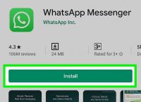 为什么whatsapp下载不了-为什么下载的whatsapp不能用