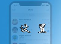 纸飞机中文版ios-纸飞机中文版怎么设置