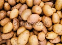 potato下载入口-potato下载入口苹果