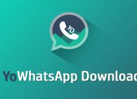 whatsapp连接不了-whatsapp为何无法连接