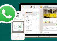 whatsapp无法验证短信-whatsapp无法发送sms验证码