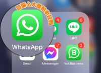 包含whatsapp上的文件怎么保存到微信上的词条