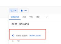 谷歌翻译-谷歌翻译在国内怎么使用不了了