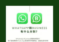 whatsappbusiness安卓下载安装-whatsappbusiness apk download