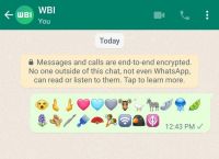 官方whatsapp下载不了-whatsapp官方网下载打不开