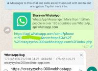 whatsapp的发音-whatsapp英文怎么发音