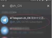 telegreat中文版设置[telegreat中文官方版下载]