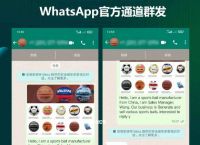 whatsapp内置代理-whatsapp 代理设置