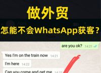 whatsapp最新版本下载安卓版-whatsapp2021最新版本下载