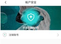 纸飞机接不到验证码-纸飞机为什么发不了信息