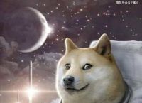 doge-女生发doge啥意思