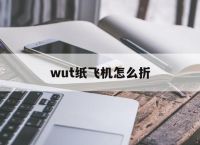 wut纸飞机怎么折[又酷又能飞的纸飞机怎么折]