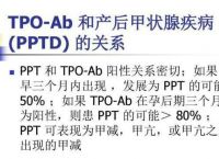 Tpo和TG升高-tpo升高有什么意义