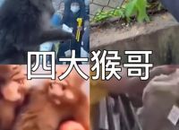 电报猴原声无消音链接的简单介绍