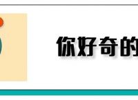 电报码怎么学-电报码怎么学?