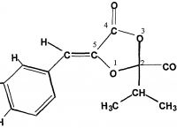 包含particularlyisolated的词条