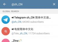 [telegiam中文版下载]telegreat中文版下载地址