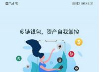 tokenpocket怎么充值-tokenpocket怎么充值bnb