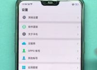 oppo无法下载app怎么办-oppo手机无法下载app怎么办