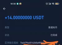 usdt在线充值-usdt在线充值接口源码