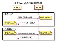 token登录-拼多多token登录