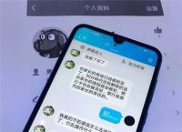 网上被骗怎么找回被骗的钱-网上被骗的钱报警后能追回来吗