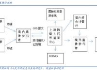 境内外币支付系统支持几个币种-境内外币支付系统可以处理什么支付类业务