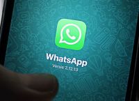 whatsapp下载-whatsapp下载安卓版本