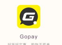 gopay支付平台正规吗-gopay支付平台怎么提现