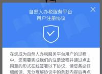 下载个人所得税APP是什么意思、下载个人所得税手机app下载是什么意思