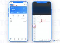 苹果如何下载tokenpocket、tokenpocket钱包下载ios