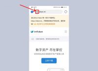 关于imtoken导入钱包以后怎么记录没了的信息