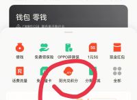 oppo手机小狐狸钱包闪退怎么回事儿、oppo手机小狐狸钱包闪退怎么回事儿呀