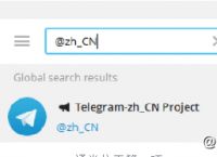 包含telegram为什么在中国不能用的词条