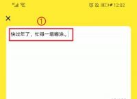 怎么把纸飞机app切换成中文版、怎么把纸飞机app切换成中文版的