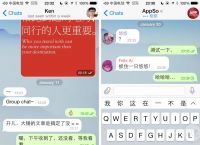 telegreat汉化链接ios、telegreat ios中文版下载