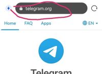 关于Telegram纸飞机ios的信息