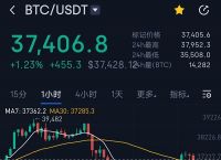 关于ustd今日价格行情的信息