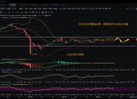 usdt是什么意思通俗易懂的简单介绍