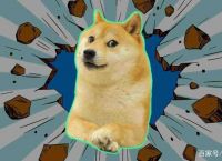 比特派doge、比特派动态图标图片