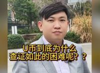 u币结算、u币结算认定涉案金额