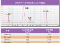 truseq文库的简单介绍