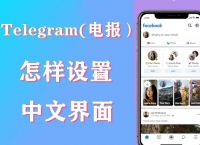 关于telegram怎么更改语言的信息