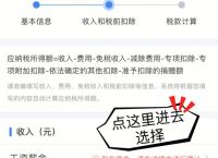 关于下载个人所得税app免费下载安装有反吗的信息