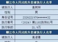 中国执行信息公开网、中国执行信息公开网信息查询