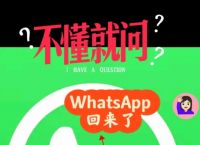 包含whatsapp属于什么软件的词条